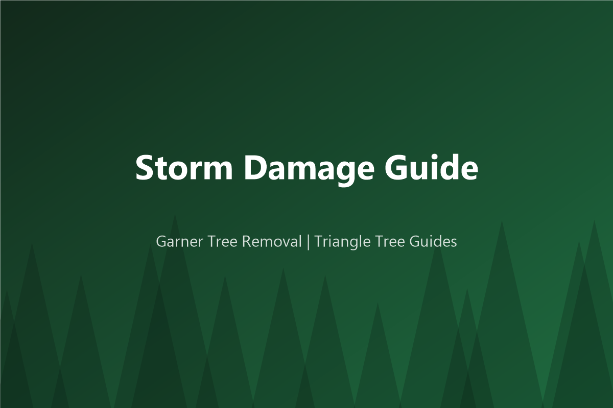 Emergency Tree Removal Cost in NC (2026): Storm Rates Explained