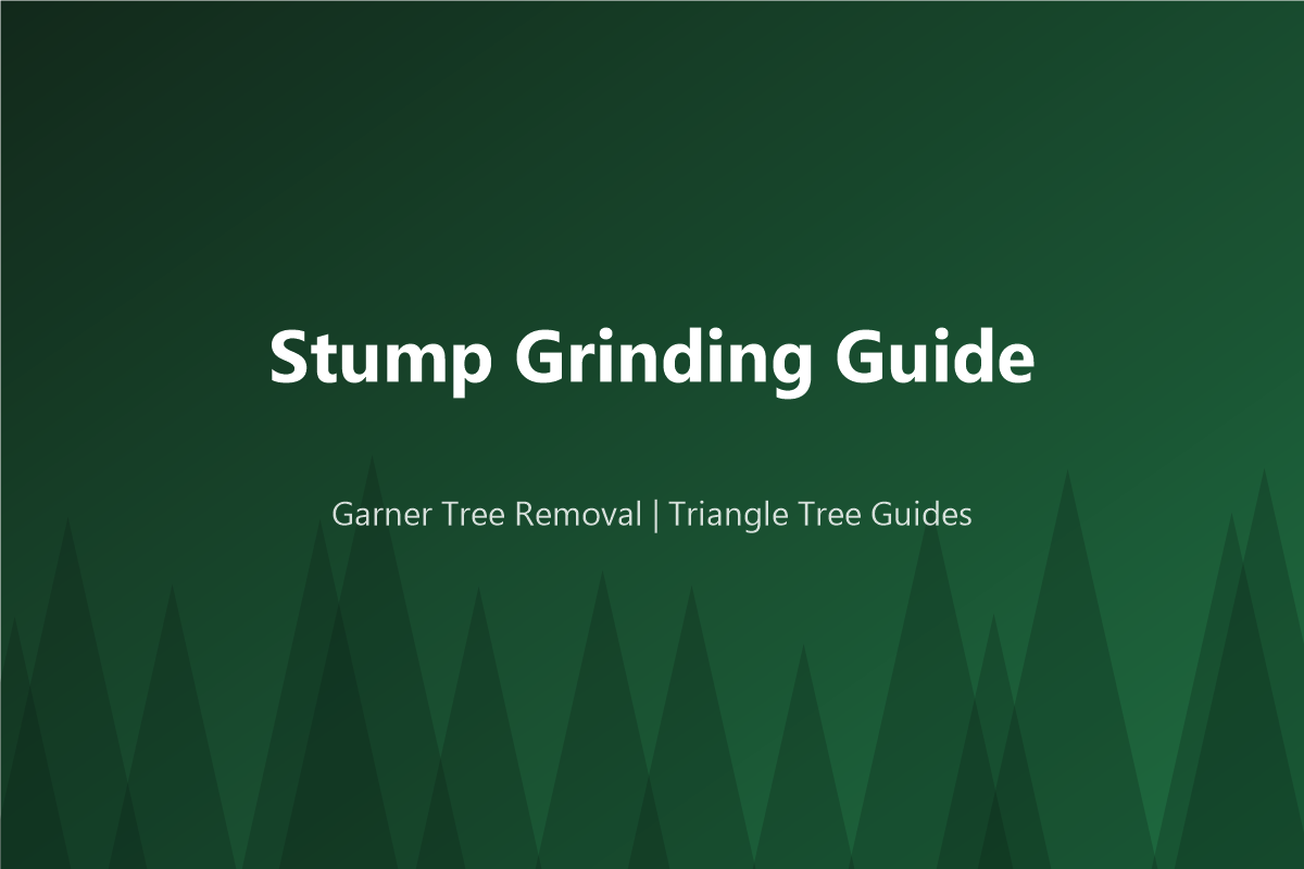 Stump Grinding Cost in Raleigh, NC (2026): Per Stump and Per Inch