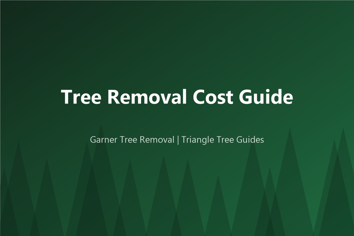 Oak Tree Removal Cost in NC (2026): Willow, Water, Red and White Oaks