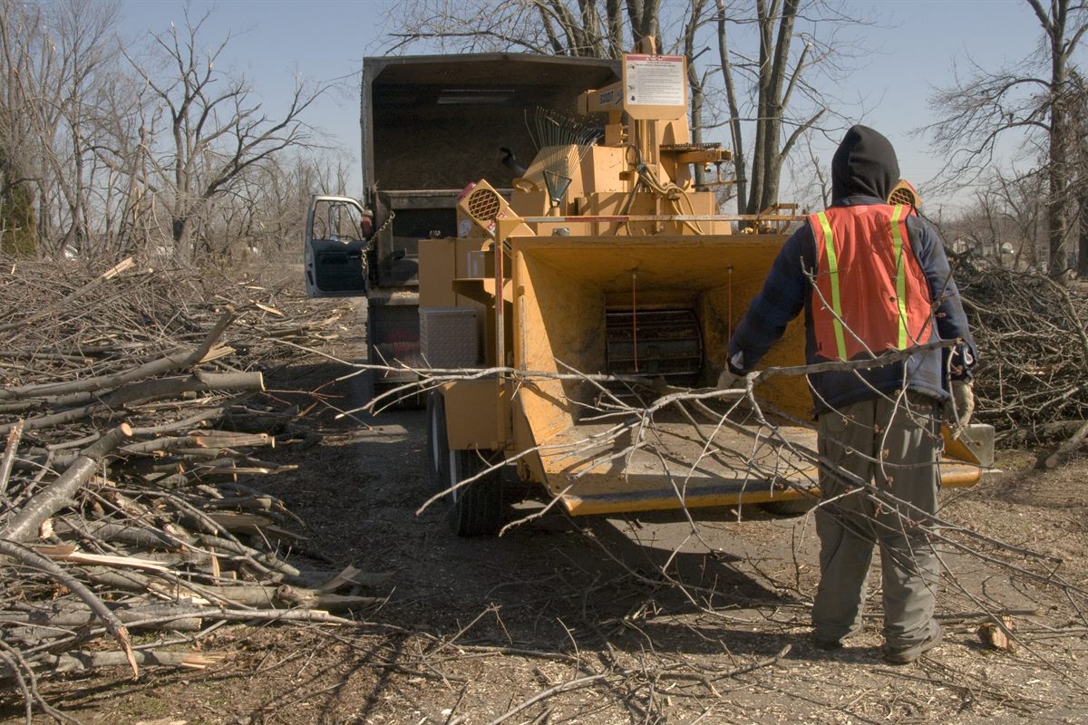 Crew feeding storm debris through a wood chipper into the truck