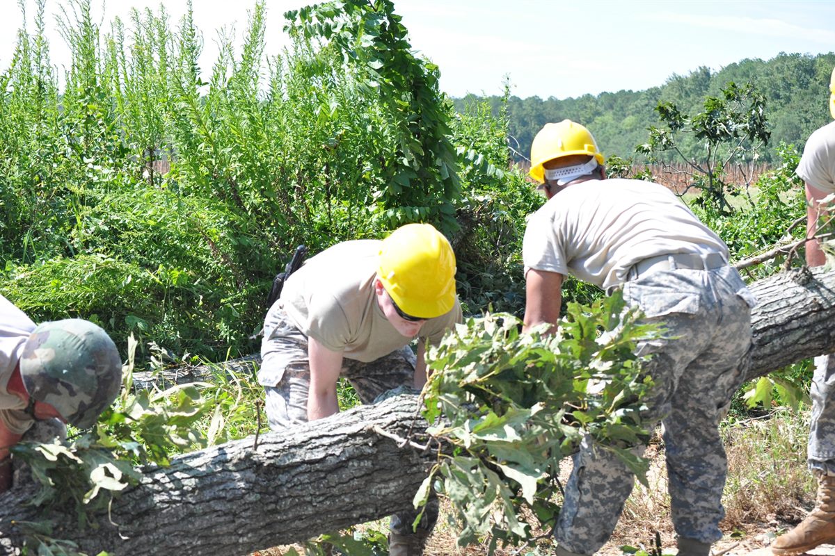 Crew in hard hats clearing a downed oak together