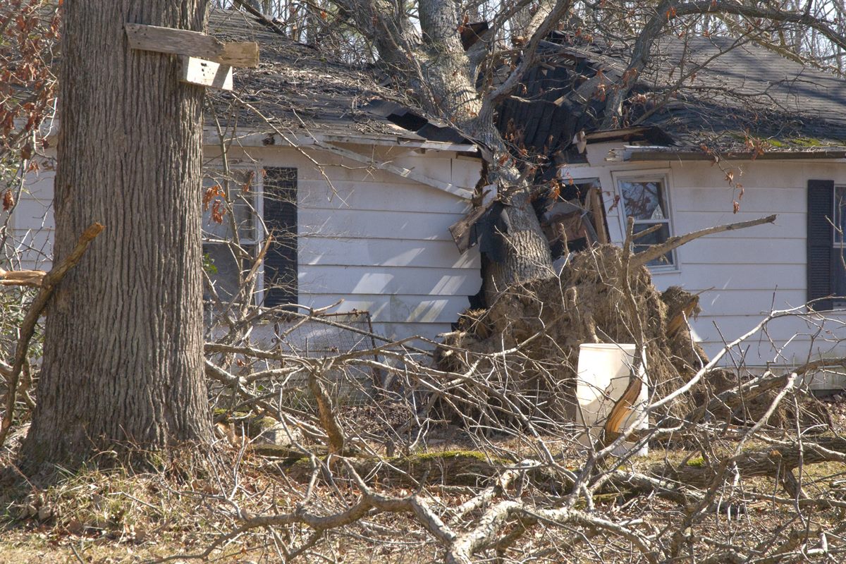Emergency & Storm Damage in Garner, NC
